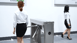 Daosafe Model DS101~1