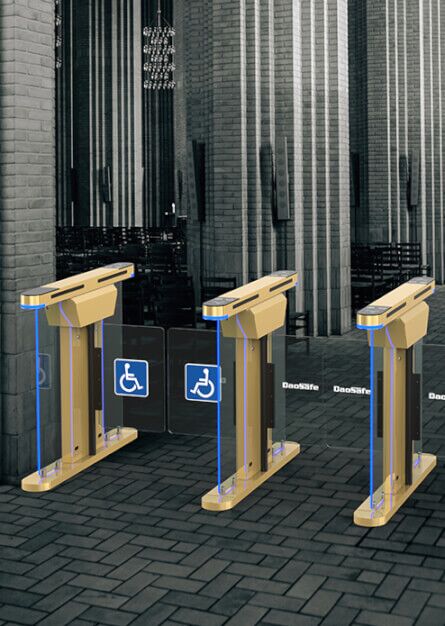 DS218g swing turnstile st page 1