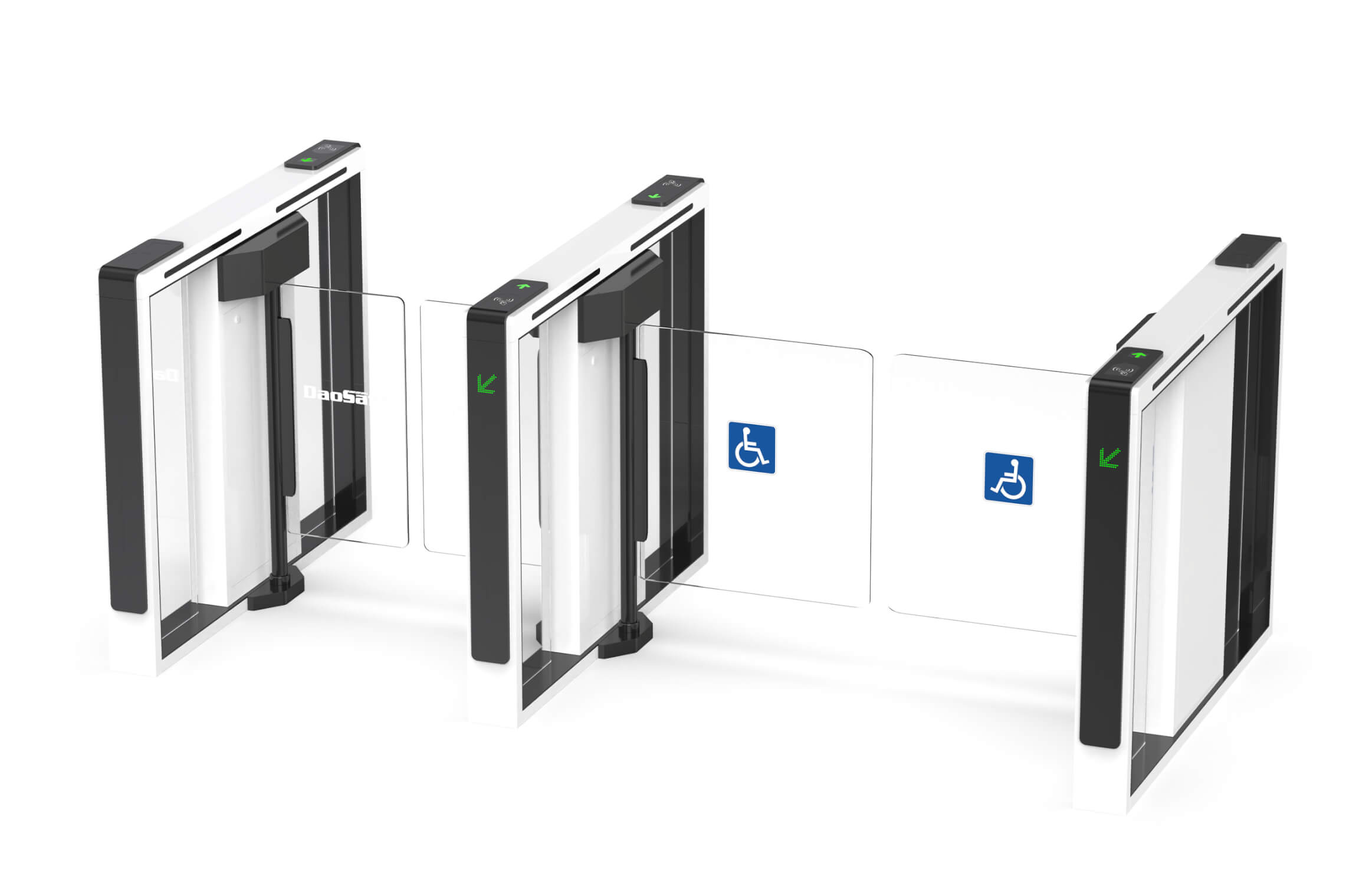 ds-q20 handicapped lane